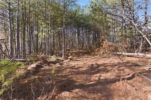 112 Redding Dr, Bremen, GA 30110 photo 18