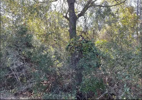 0 Quiesqueya Cir, Waycross, GA 31503