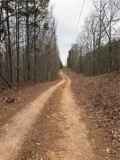 000000 Hutcheson Rd, Temple, GA 30179 photo 8