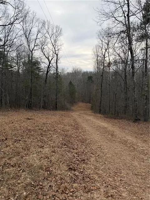 000000 Hutcheson Rd, Temple, GA 30179 photo 6