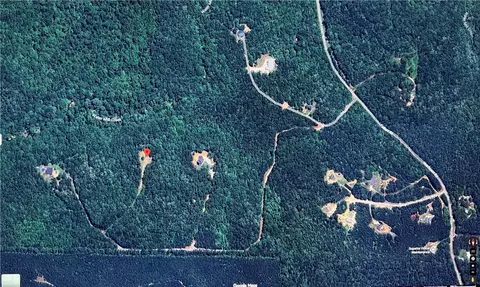 000000 Hutcheson Rd, Temple, GA 30179 photo 9