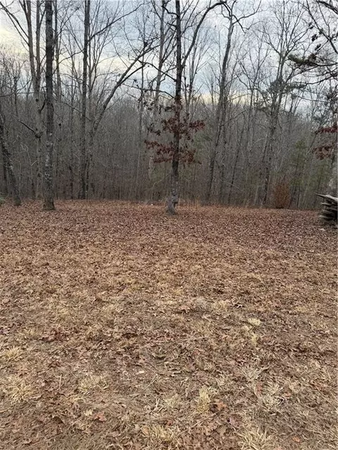 000000 Hutcheson Rd, Temple, GA 30179