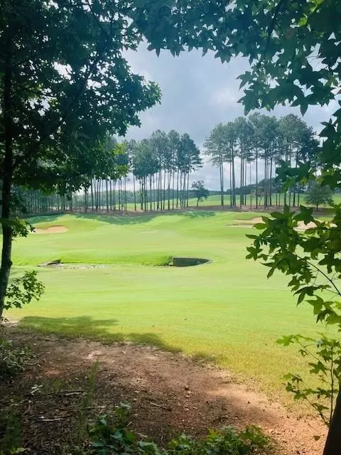 120 Hawks Ct, Ball Ground, GA 30107