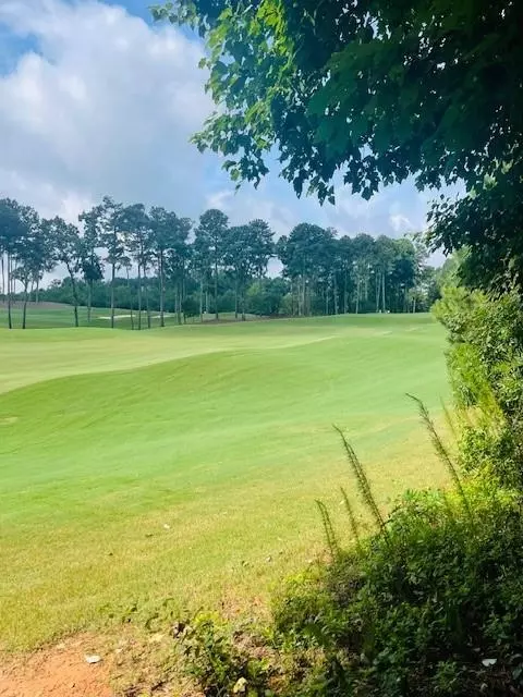 124 Hawks Ct, Ball Ground, GA 30107