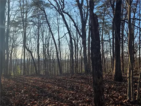 0 Carters Lake Overlook, Ellijay, GA 30540