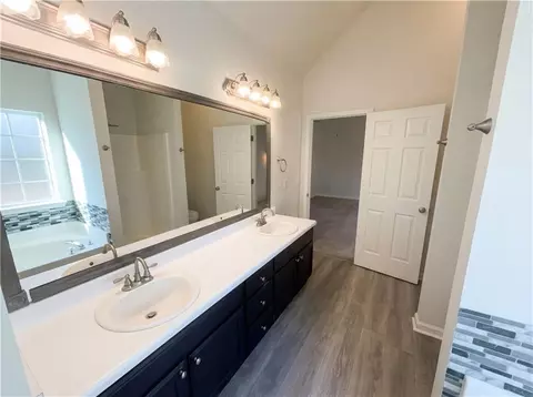 Bath - 130 Glenwood Ct, Hampton, GA 30228 photo 6 of 6