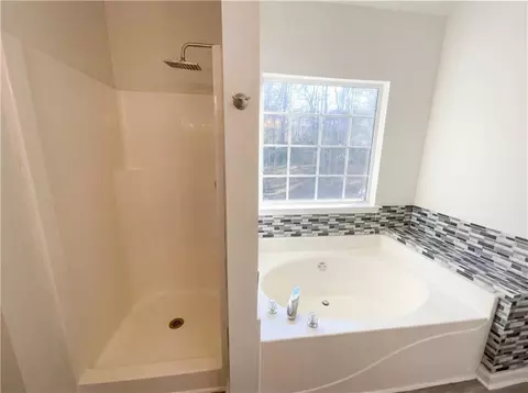 Bath - 130 Glenwood Ct, Hampton, GA 30228 photo 5 of 6