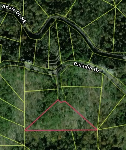 334 Packet Ct, Ranger, GA 30734 photo 3