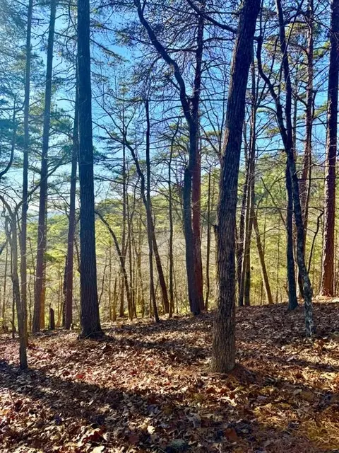 335 Packet Ct, Ranger, GA 30734 photo 2