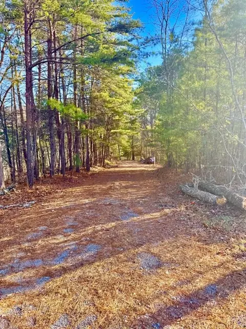 335 Packet Ct, Ranger, GA 30734 photo 10