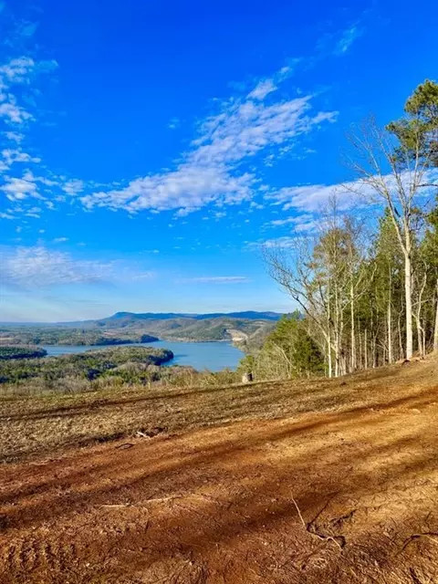 335 Packet Ct, Ranger, GA 30734 photo 12