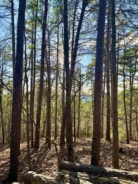 335 Packet Ct, Ranger, GA 30734 photo 8