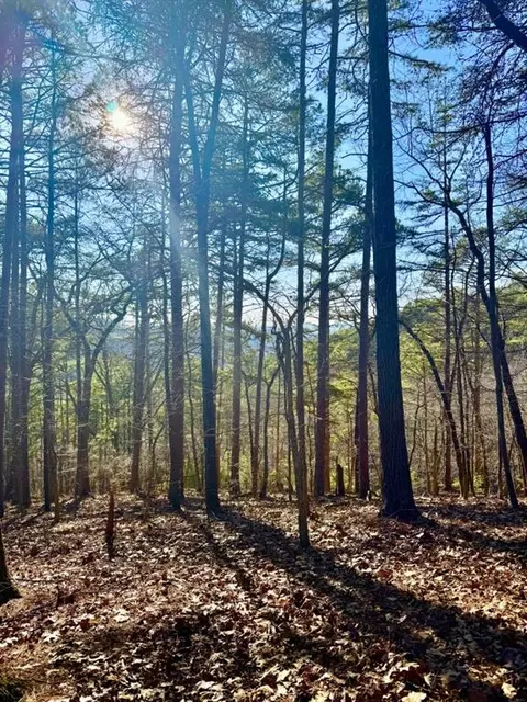 335 Packet Ct, Ranger, GA 30734