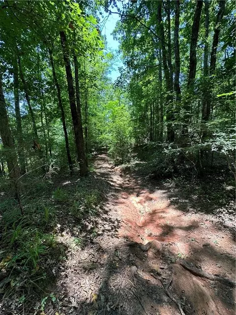 0000 Rocky Point Rd, Covington, GA 30014 photo 9