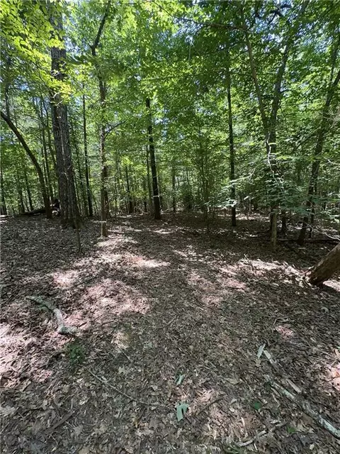 0000 Rocky Point Rd, Covington, GA 30014 photo 8