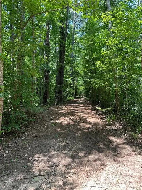 0000 Rocky Point Rd, Covington, GA 30014 photo 3
