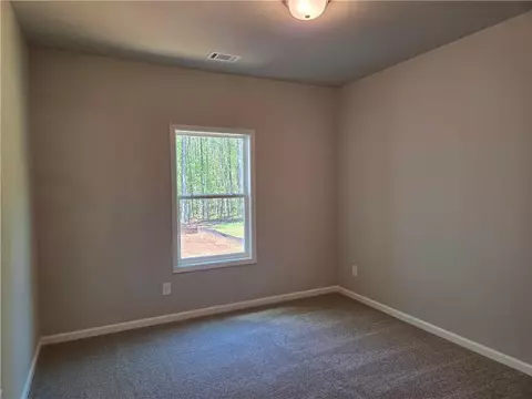 253 Meadows Dr, Bethlehem, GA 30620 photo 31
