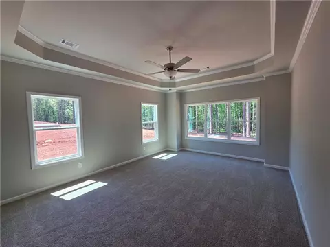 253 Meadows Dr, Bethlehem, GA 30620 photo 17
