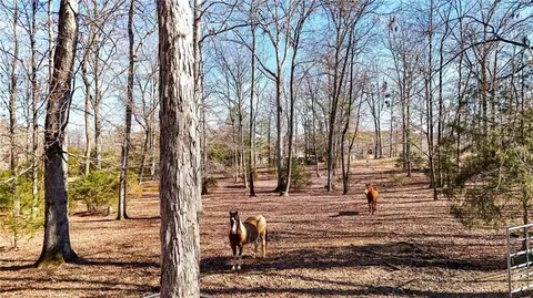 5981 Blacks Bluff Rd, Cave Spring, GA 30124 photo 3
