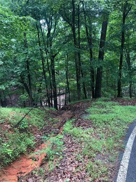 6055 Crested Iris Cir, Jasper, GA 30143 photo 2