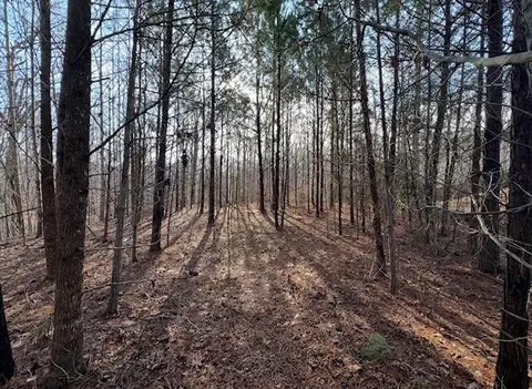 5255 Red Hawk Dr, Gainesville, GA 30507 photo 6