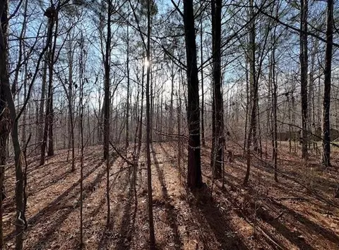 5255 Red Hawk Dr, Gainesville, GA 30507 photo 5