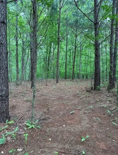 5255 Red Hawk Dr, Gainesville, GA 30507 photo 3