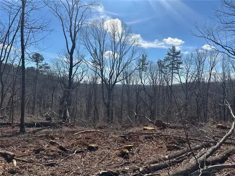 27 68 Chapman Ridge Ln, Dahlonega, GA 30533