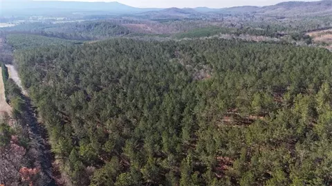 32 Acr Tract 14, Lyerly, GA 30730