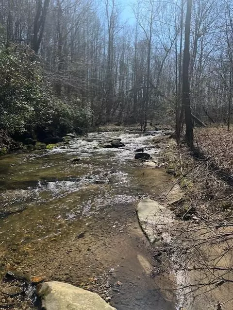 0 Lot 16 Bravo Way, Talking Rock, GA 30175