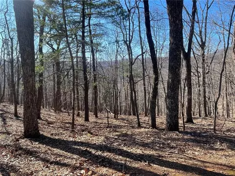 47 Bell Flower Dr, Jasper, GA 30143