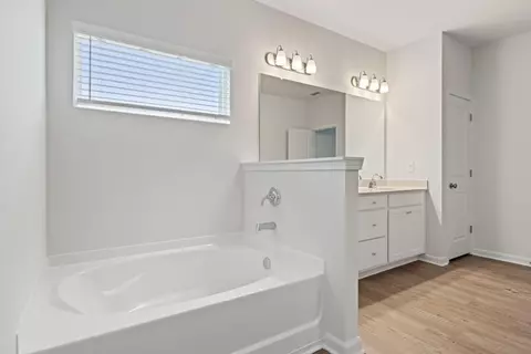 Bath - 325 Arwen Dr, Mcdonough, GA 30252 photo 2 of 3