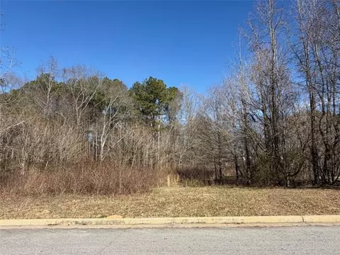 611 Mcdowell Ln, Bethlehem, GA 30620 photo 6