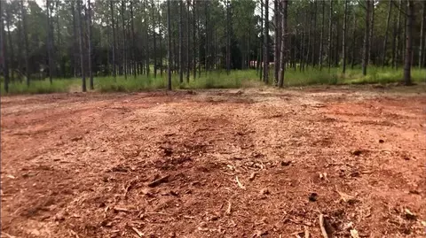 0 Sanford Rd, Nicholson, GA 30565