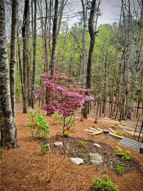 Exterior - 62 Cardinal Cv, Jasper, GA 30143 photo 8 of 11