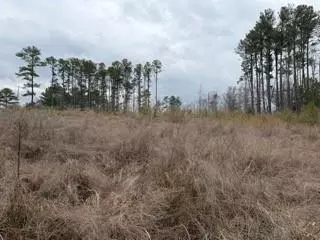 0 Rutledge Rd, Acworth, GA 30101 photo 4