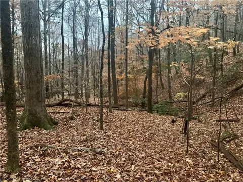 431 Tamarack Dr, Jasper, GA 30143 photo 7