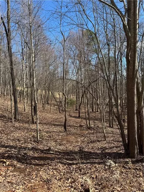 2526 Turnbury Ln, Big Canoe, GA 30143