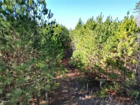 0 Jaudon Rd, Elberton, GA 30635 photo 7