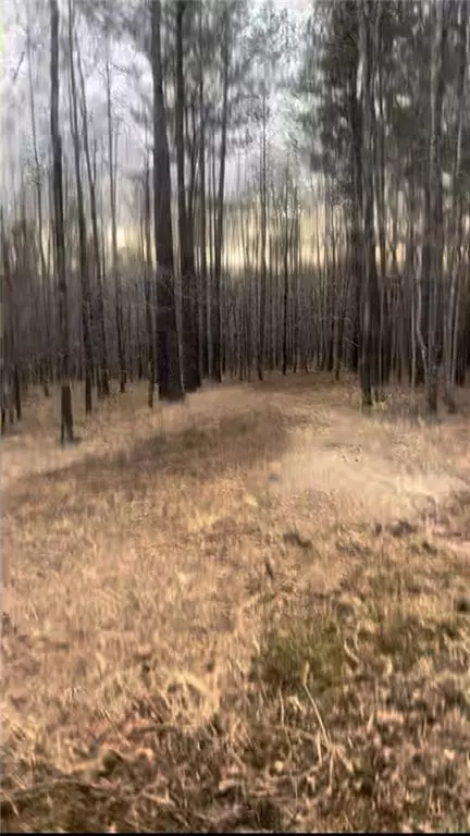 166 Lake Crest Dr, Sparta, GA 31087