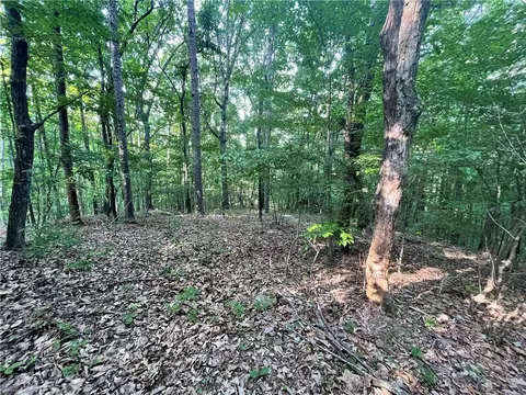 860 Cloudland Trce, Chickamauga, GA 30707