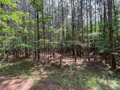 0 Fallen Branch Cir, Rome, GA 30161 photo 24