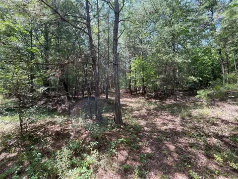 0 Fallen Branch Cir, Rome, GA 30161 photo 28