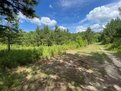 0 Fallen Branch Cir, Rome, GA 30161 photo 10