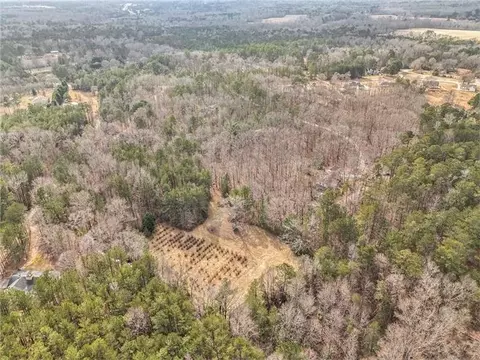 490 Dorsey Rd, Hampton, GA 30228 photo 67