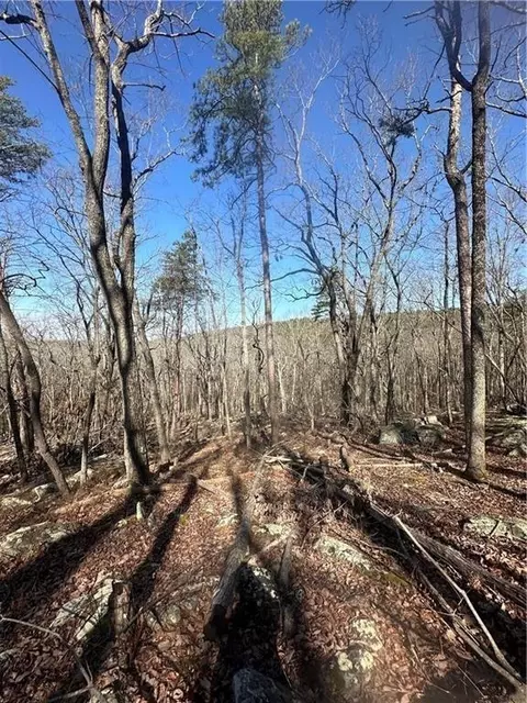 0 Mulberry Ct, Jasper, GA 30143 photo 6