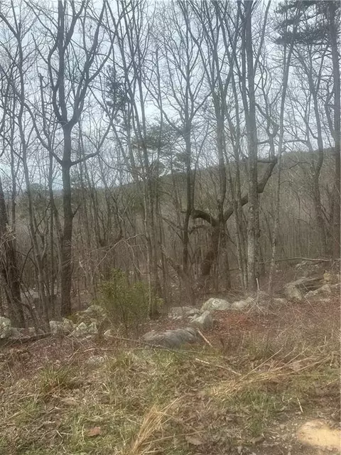0 Mulberry Ct, Jasper, GA 30143 photo 4