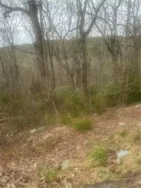 0 Mulberry Ct, Jasper, GA 30143 photo 3