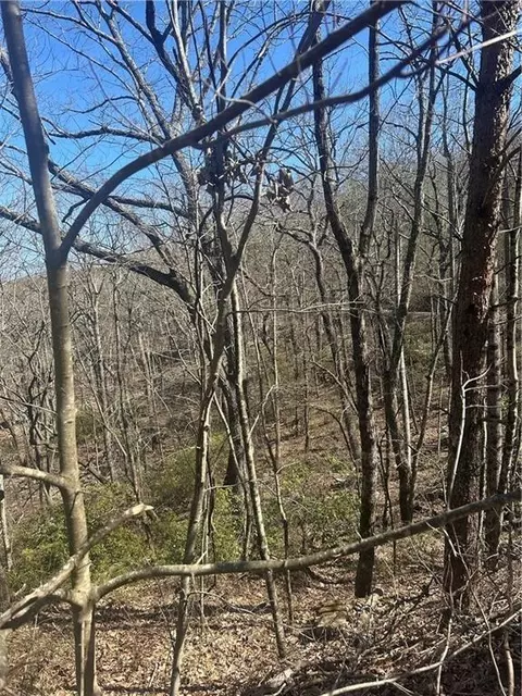 0 Mulberry Ct, Jasper, GA 30143 photo 8