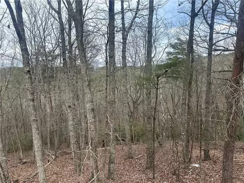 0 Mulberry Ct, Jasper, GA 30143 photo 2